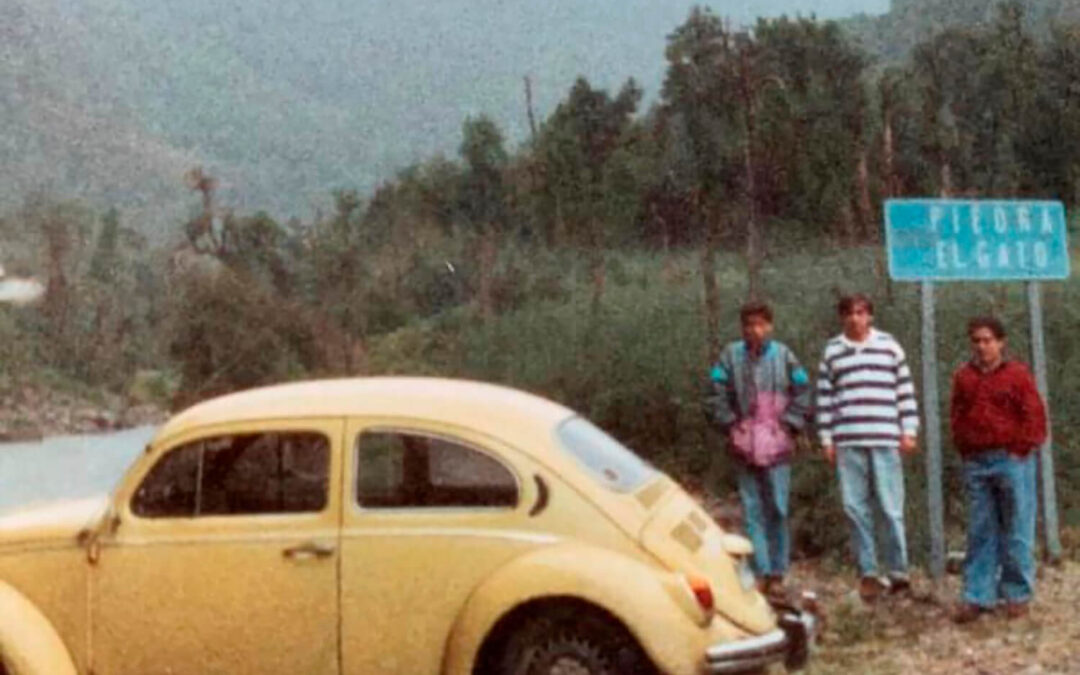 481 – Momento VW – Felipe Martínez Fuentes