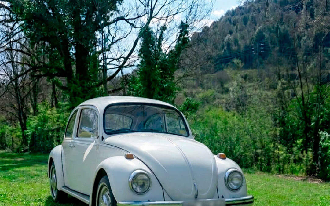 488 – Momento VW – Joaquin Rios
