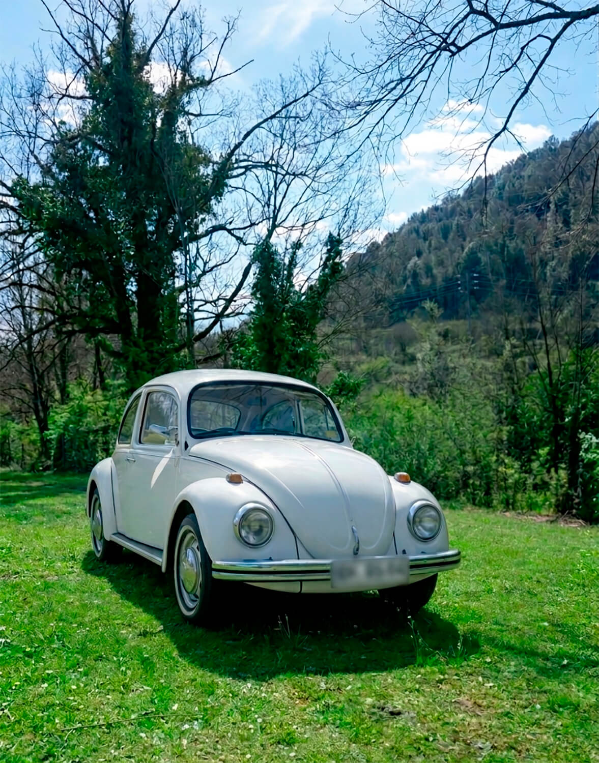 488 - Momento VW - Joaquin Rios