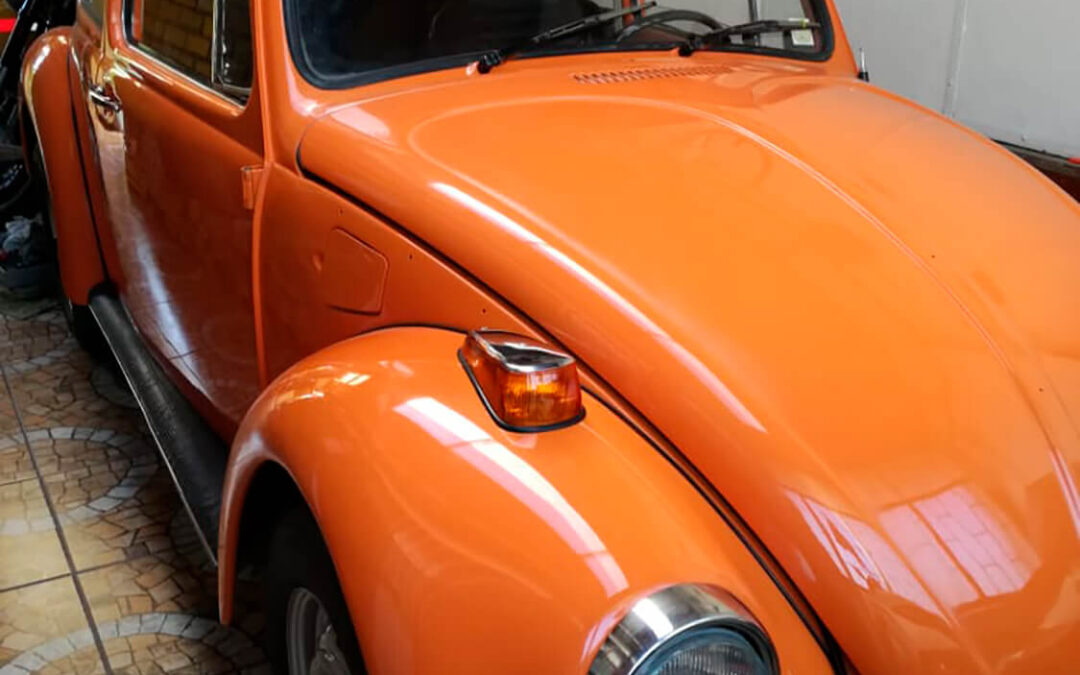 489 – Momento VW – Rodrigo Ovalle Ibañez