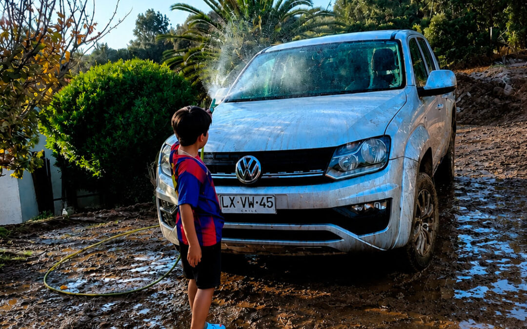 492 – Momento VW – Andrea varas varas