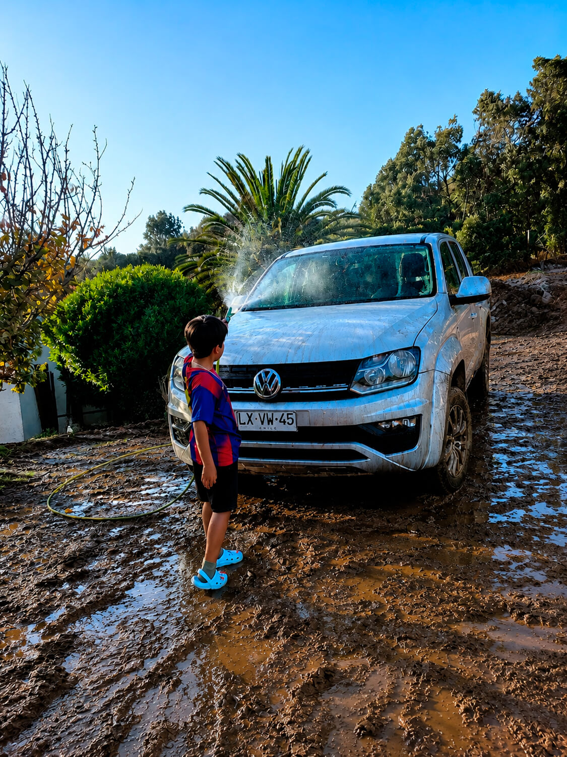 492 - Momento VW - Andrea varas varas