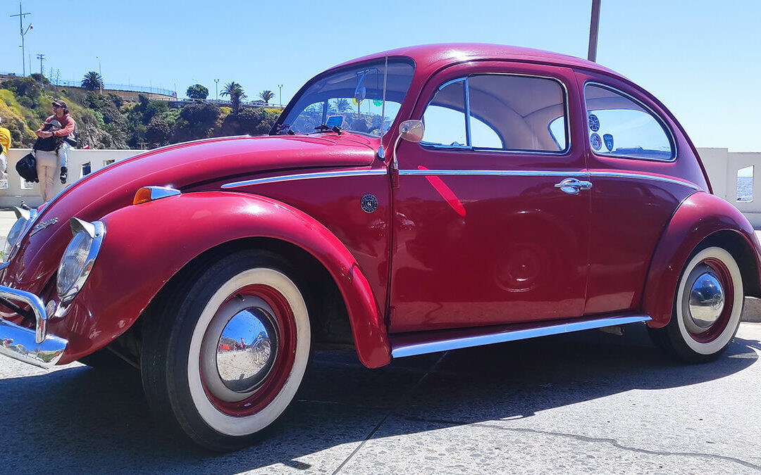 505 – Momento VW – Gianfranco massa