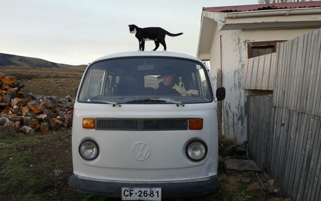 534 – Momento VW – Pablo Quercia Martinic
