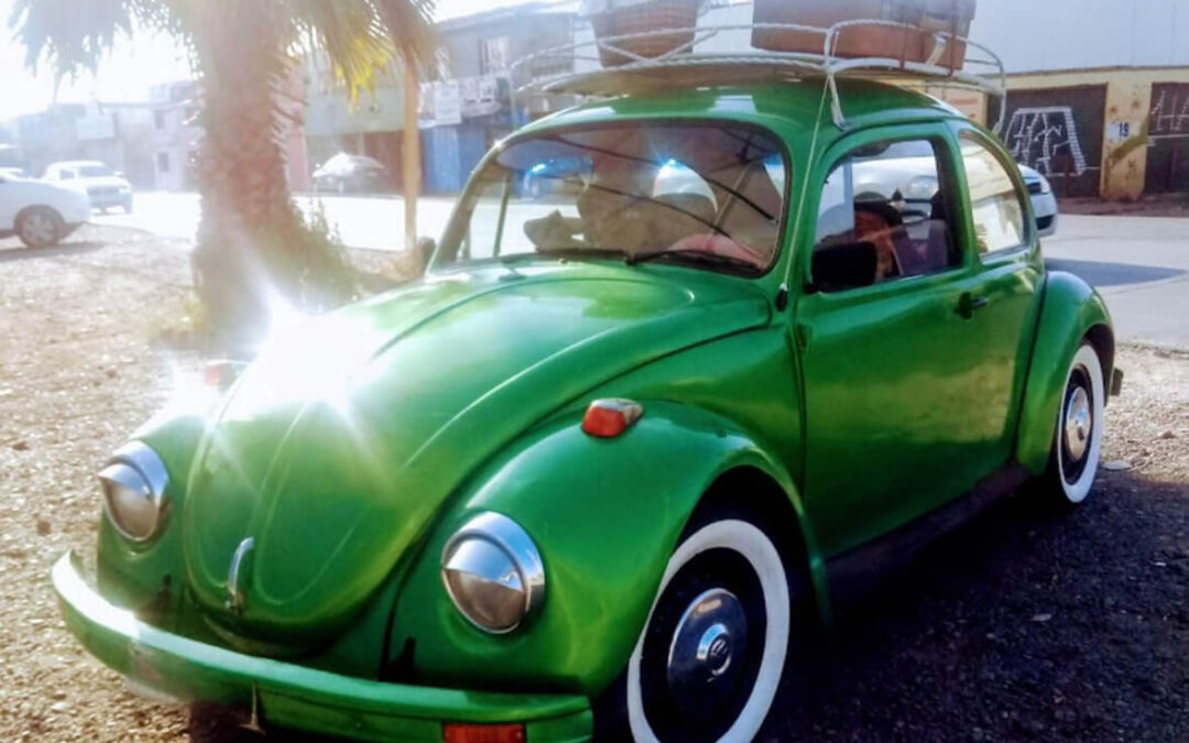 538 – Momento VW – Tavita Varas