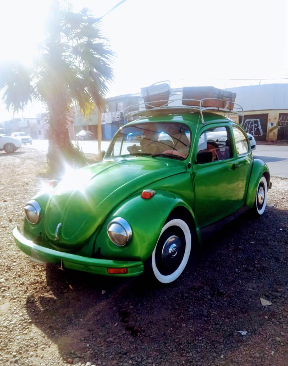 538 - Momento VW - Tavita Varas