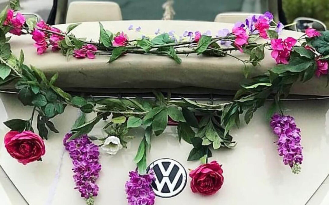 556 – Momento VW – Pía Cortes