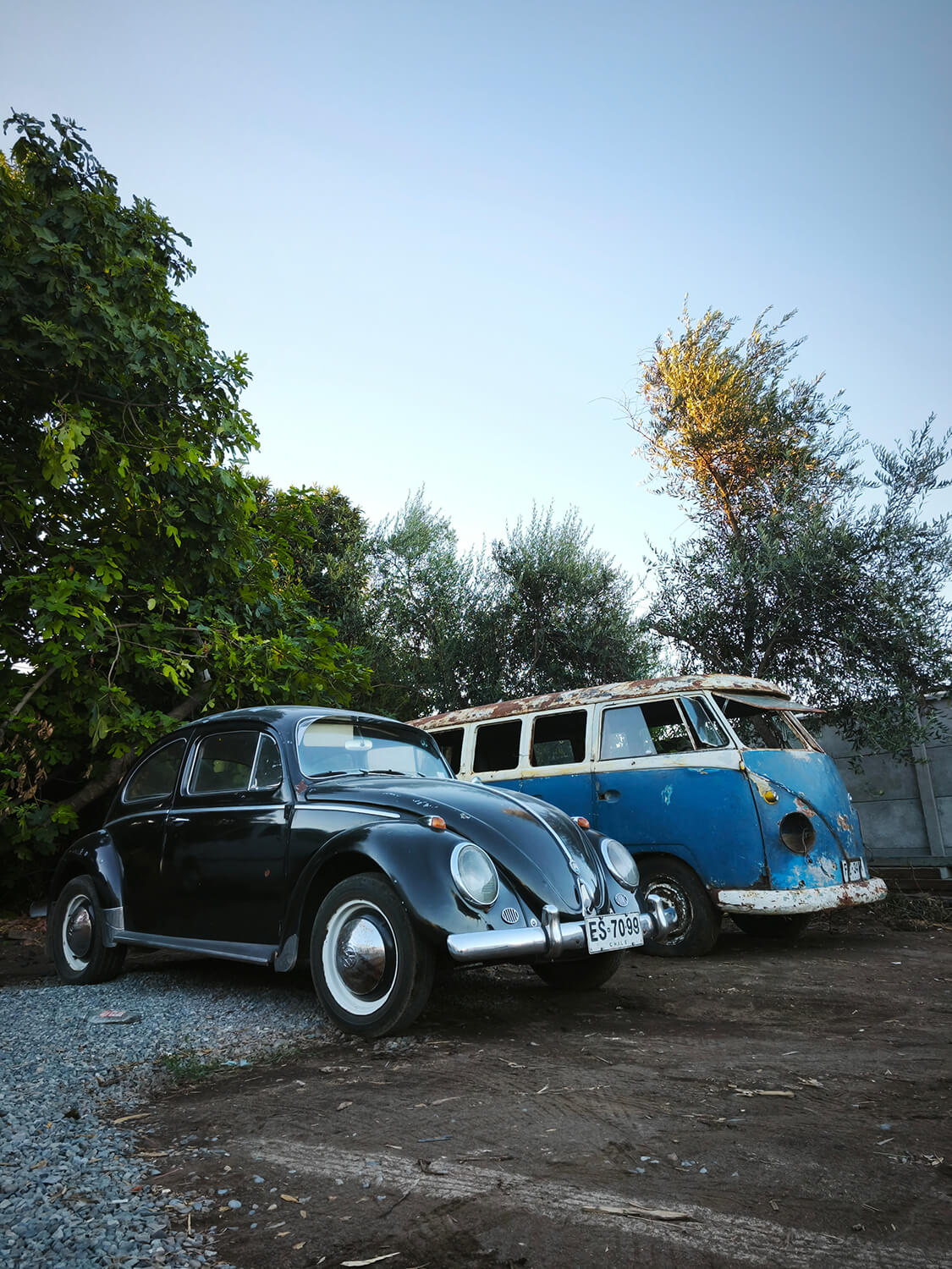 570 - Momento VW - Marco Albornoz Cerda