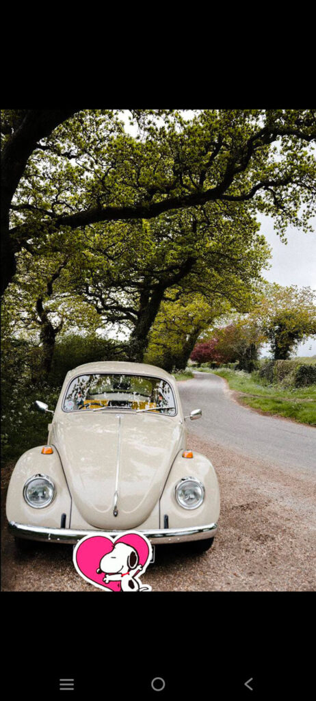 585 - Momento VW - Francisca Rioseco