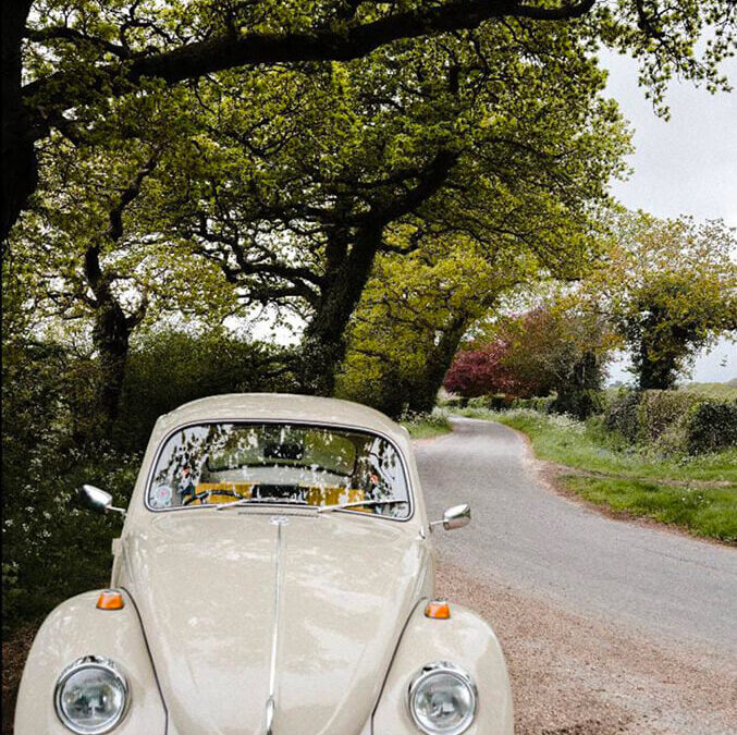 585 – Momento VW – Francisca Rioseco