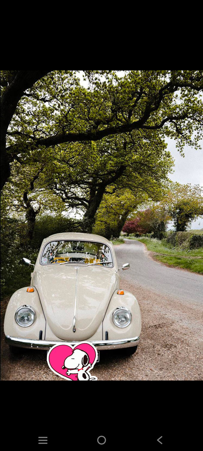 585 - Momento VW - Francisca Rioseco