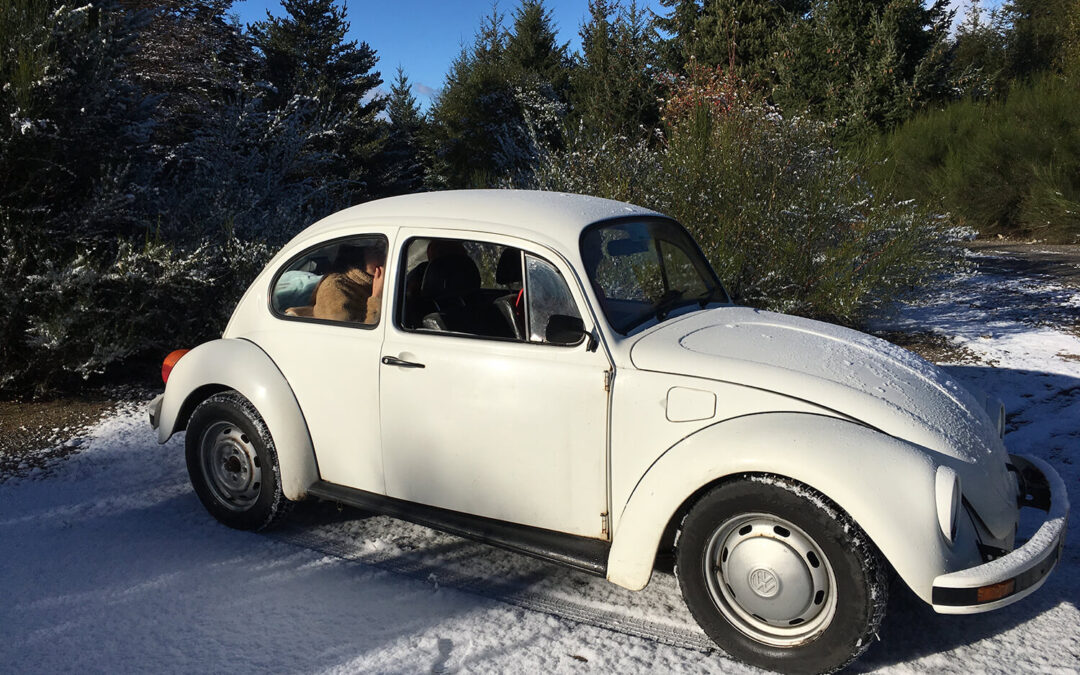 591 – Momento VW – Joanna de Requesens
