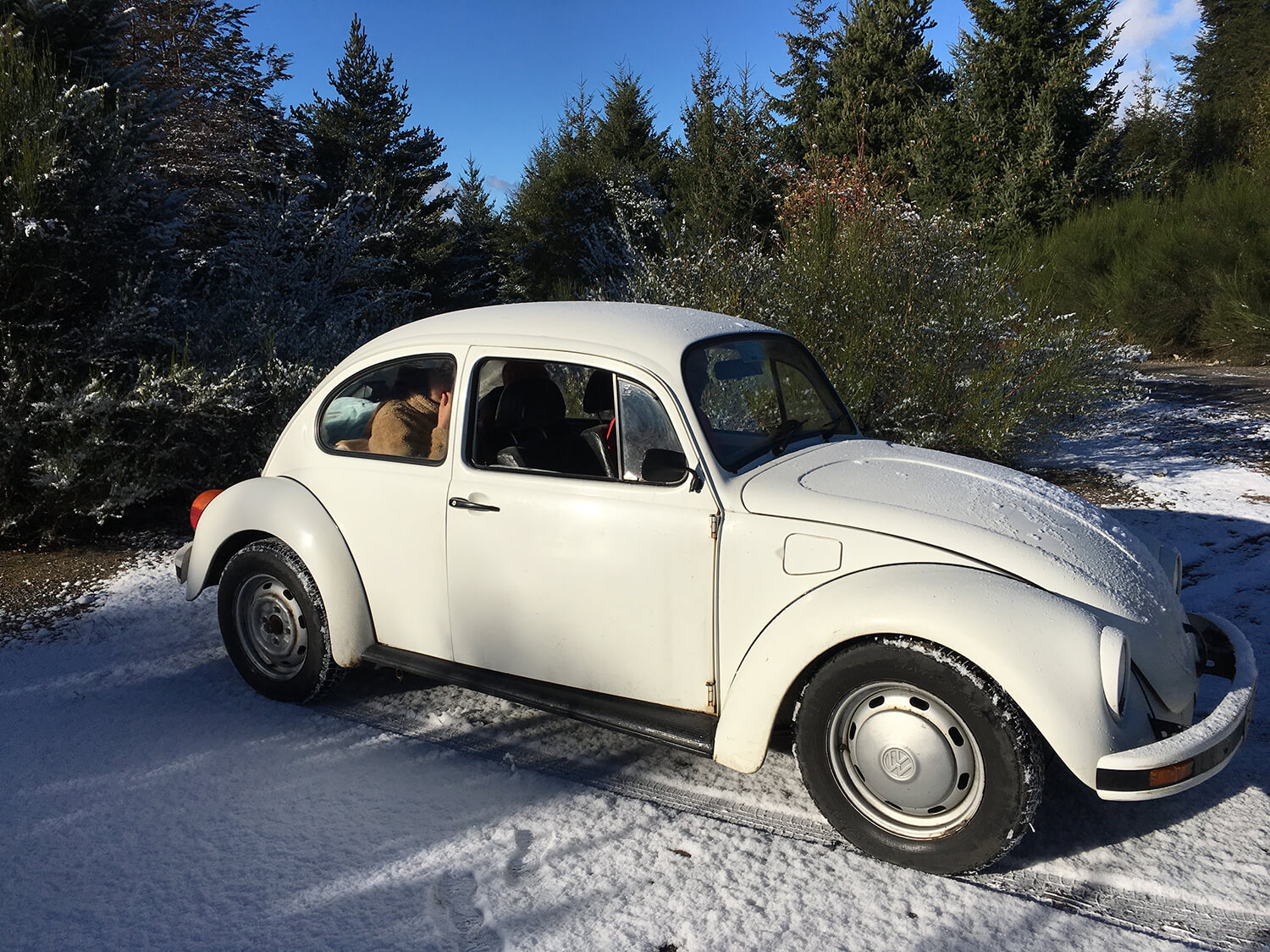 591 - Momento VW - Joanna de Requesens