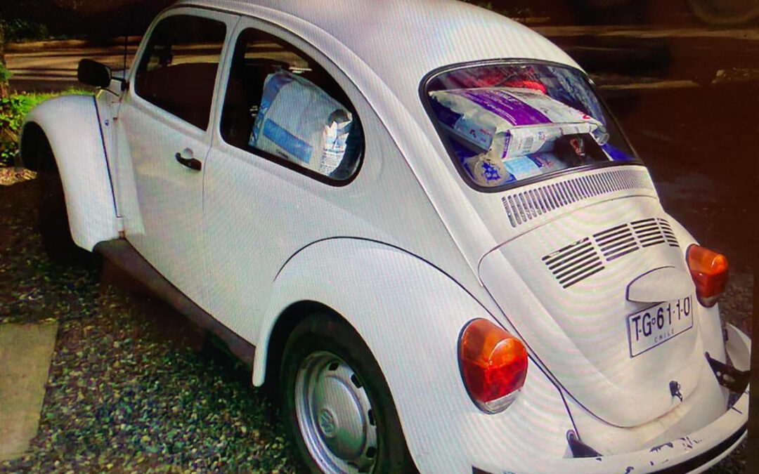 594 – Momento VW – Joanna de Requesens