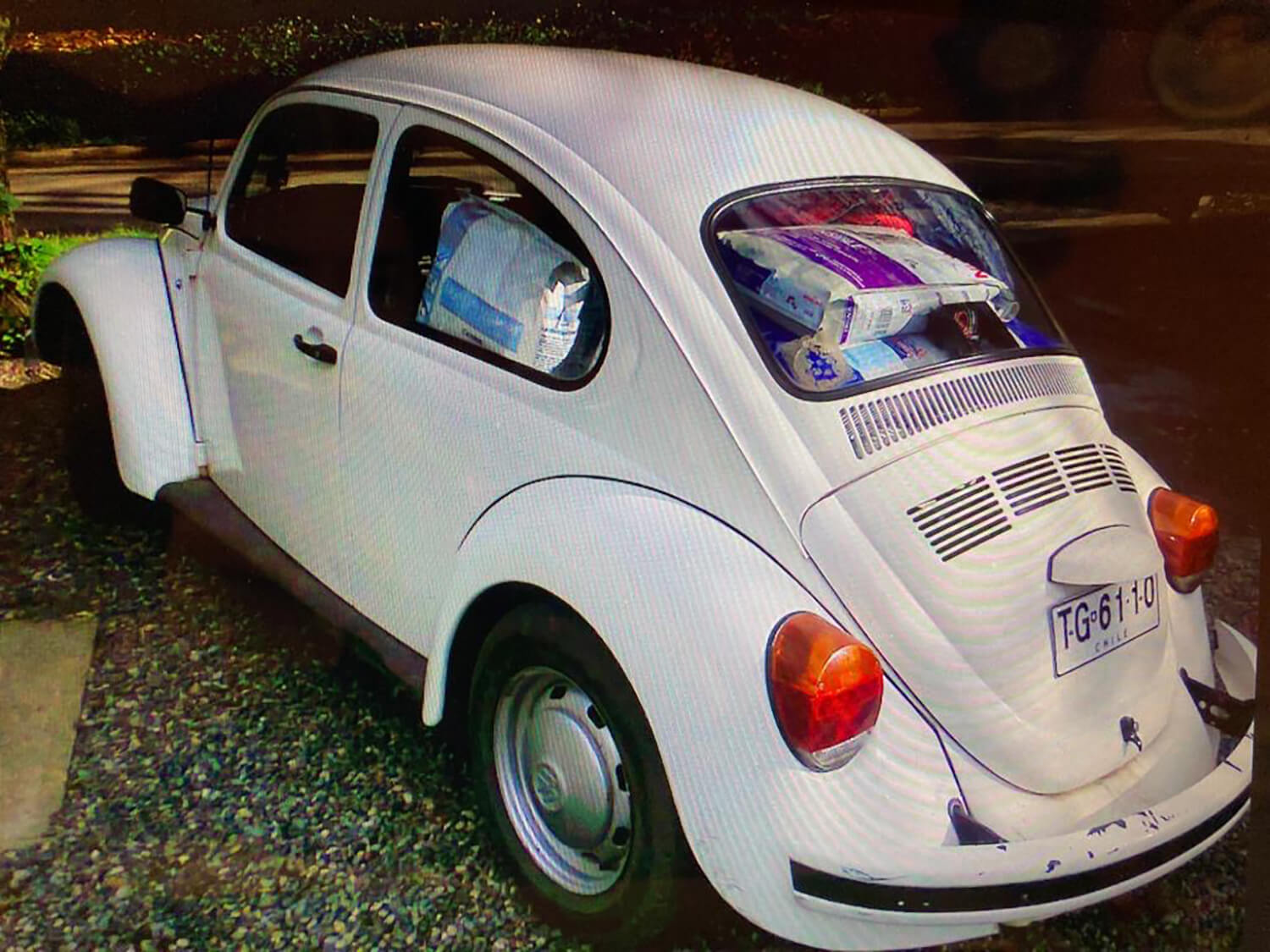 594 - Momento VW - Joanna de Requesens