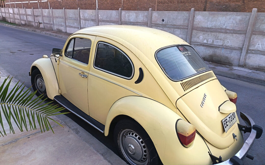 602 – Momento VW – Paulo Gonçalvez