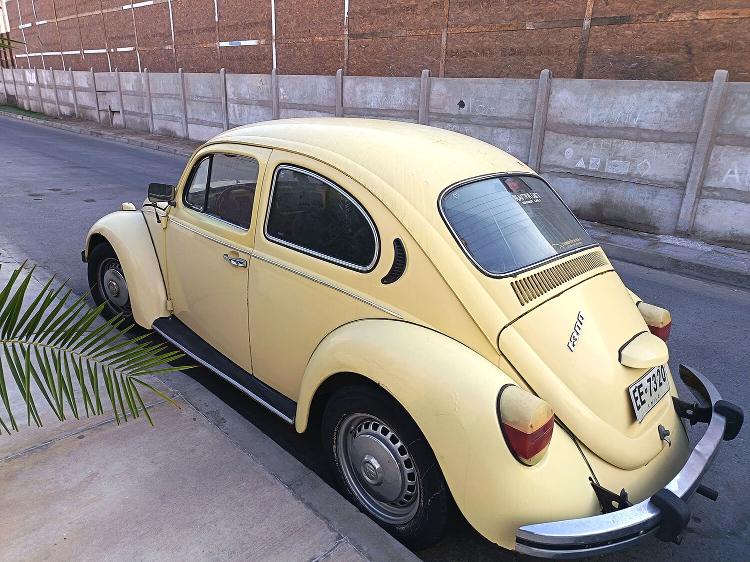602 - Momento VW - Paulo Gonçalvez