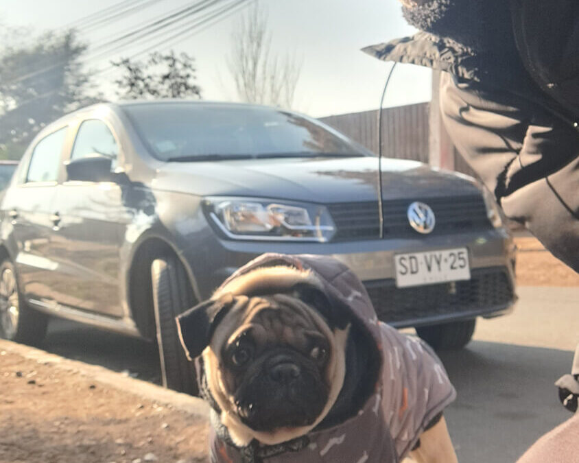 607 – Momento VW – Ricardo Culqui Oblitas