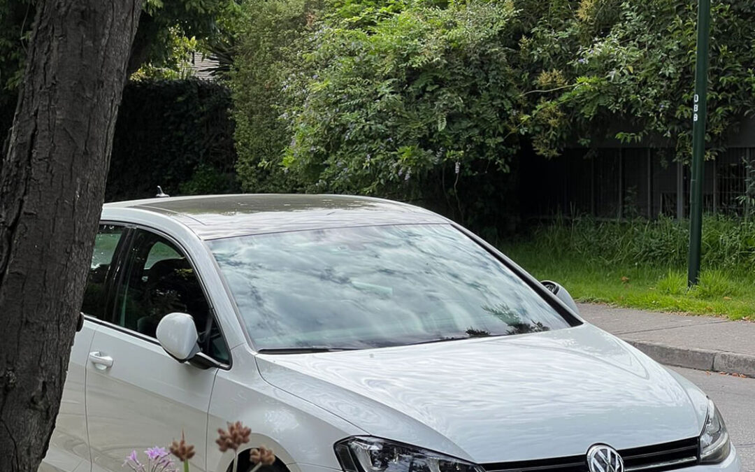 706 – Momento VW – ALEJANDRO GRILLO