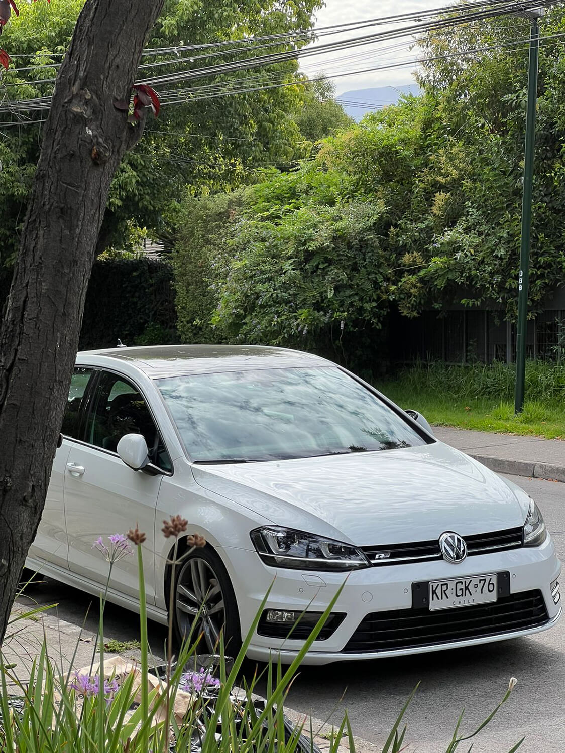 706 - Momento VW - ALEJANDRO GRILLO