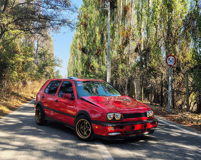 723 – Momento VW – Emily Balbi